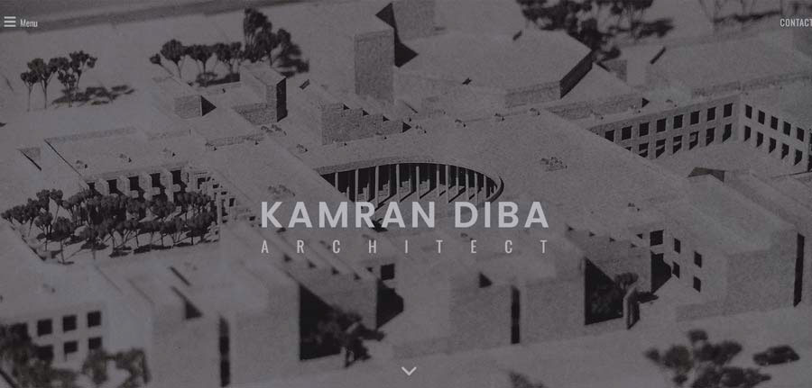 Kamran Diba website design project by Dinovate Studio